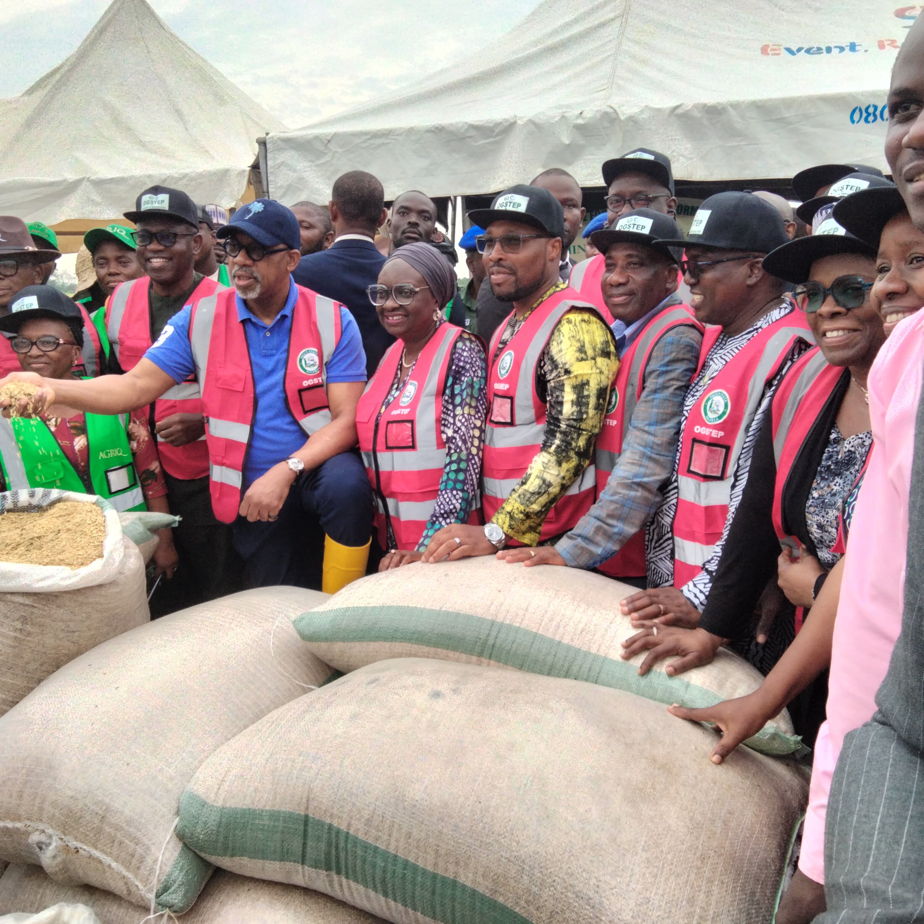 OGSTEP agricultural field engagement with farmers